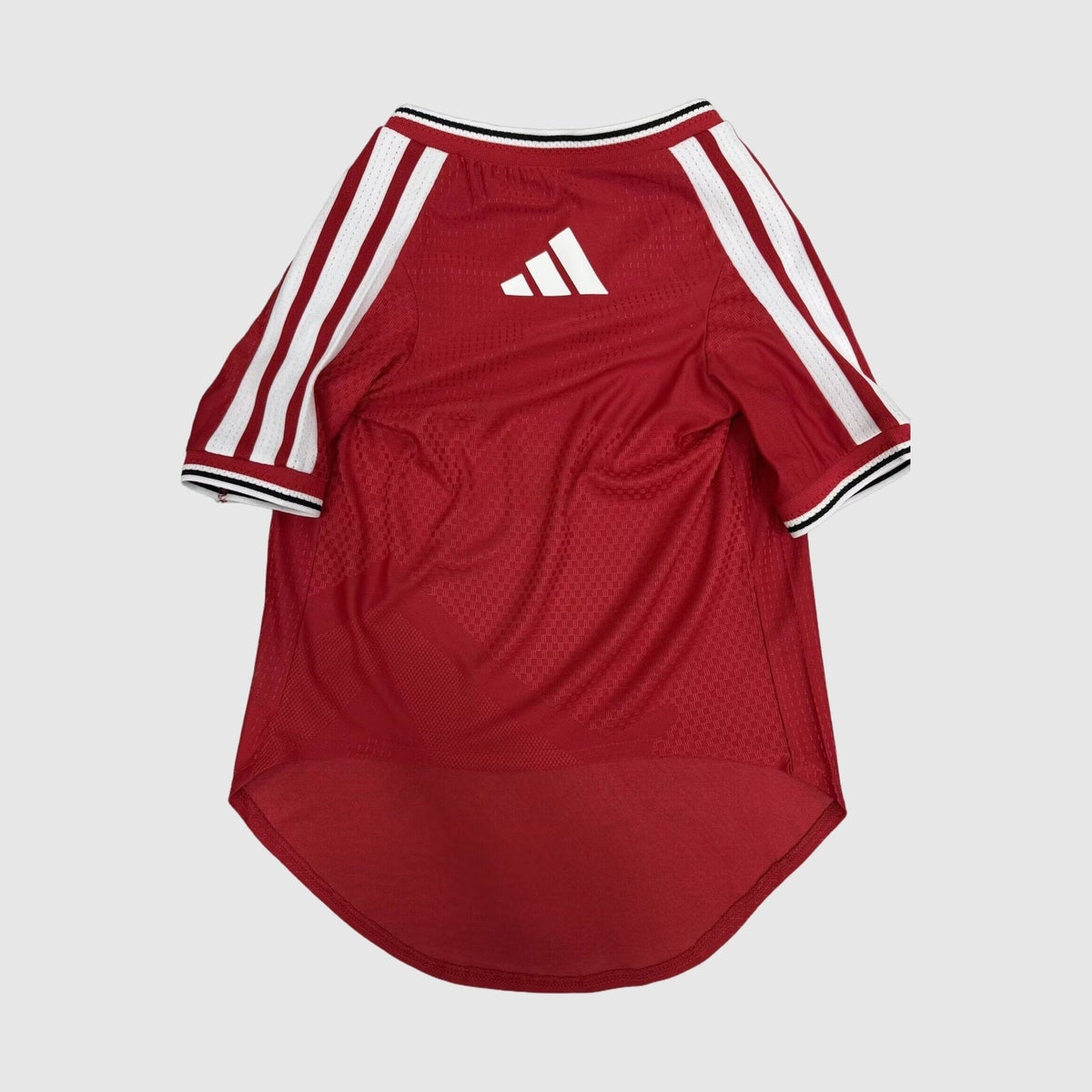 Camisola Principal Animal de Estimação
