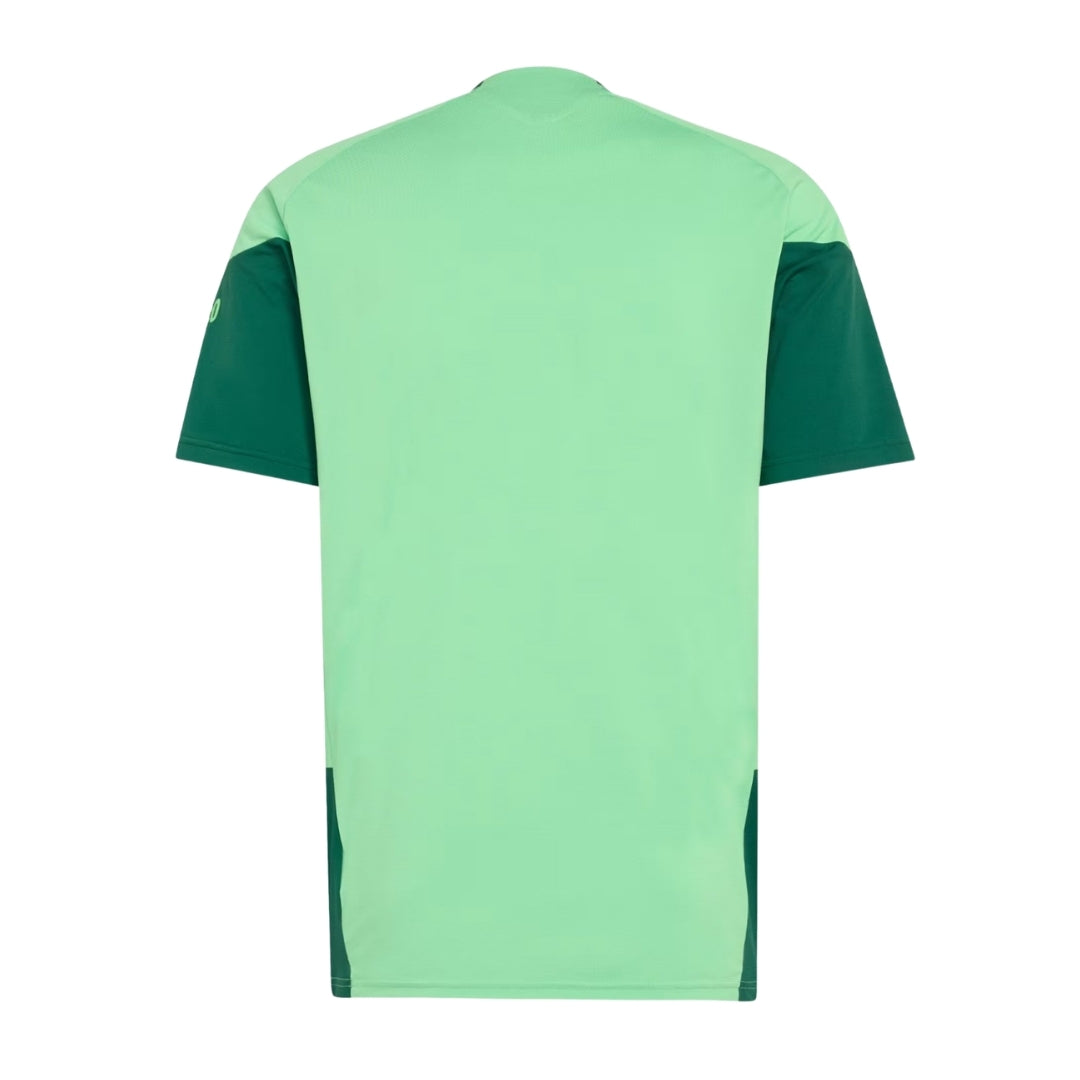 CAMISOLA MÉXICO TREINO ALTERNATIVA MUNDIAL 2026