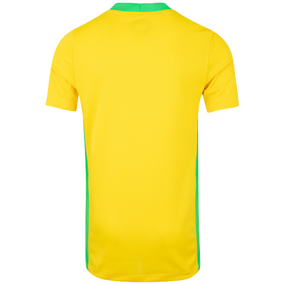 Camisola Brasil Principal 2025/26 - LANÇAMENTO! 🇧🇷