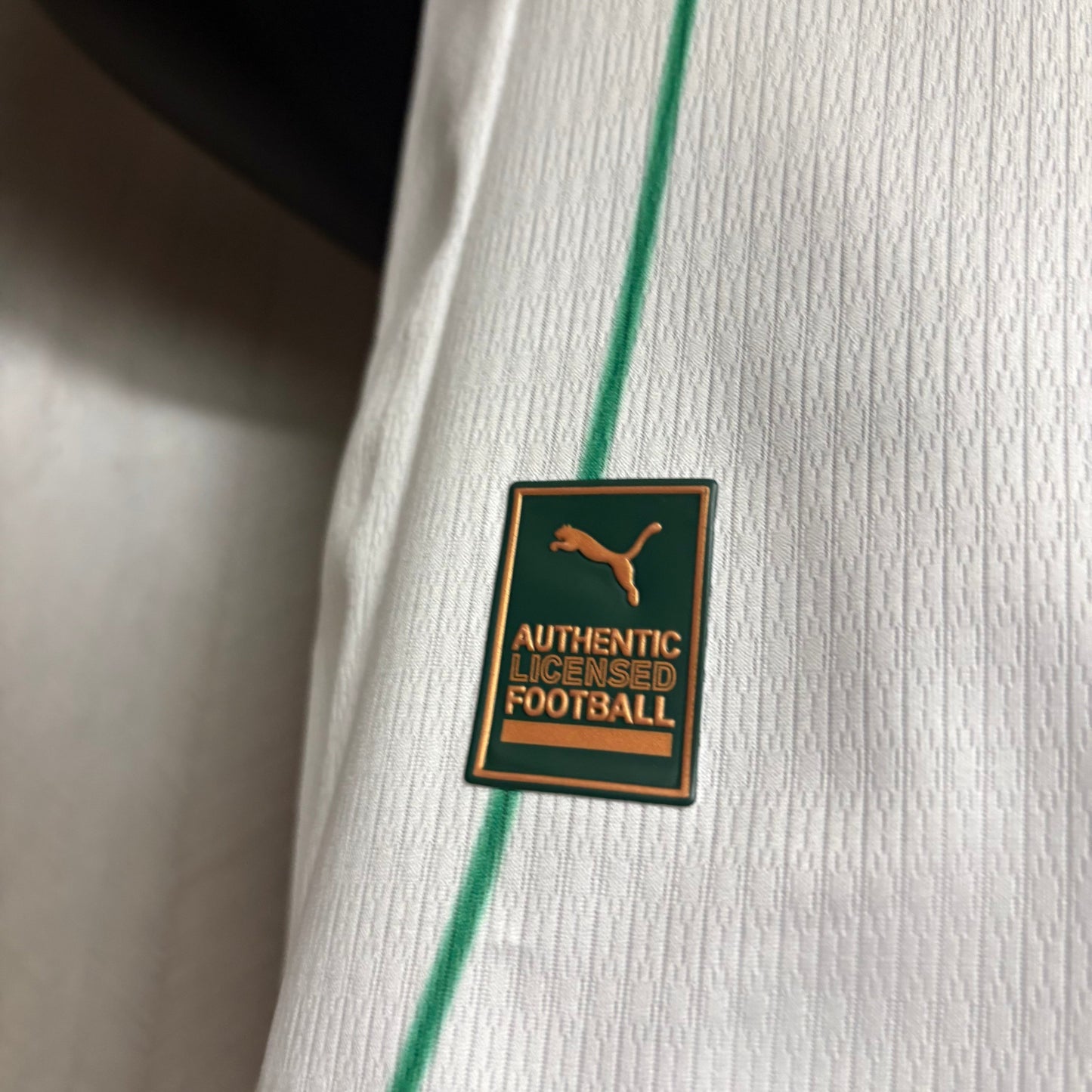 PALMEIRAS ALTERNATIVO 2026/27 PLAYER