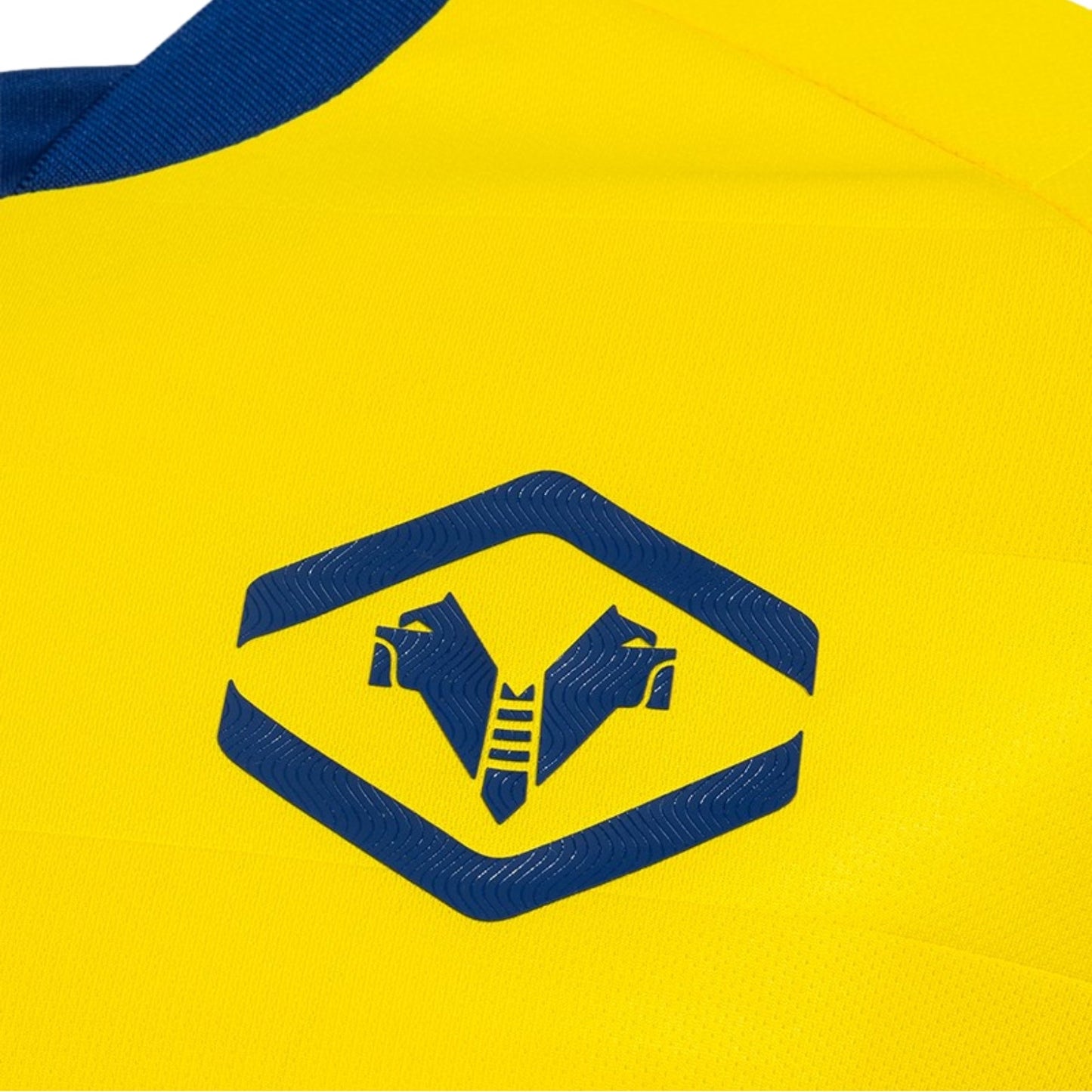 Hellas Verona Alternativa 25/26