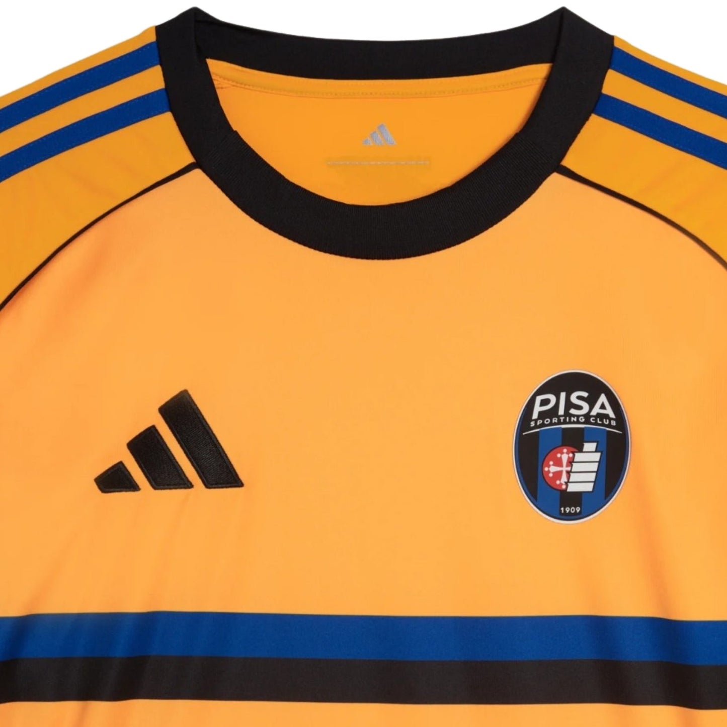 Pisa Alternativa 25/26