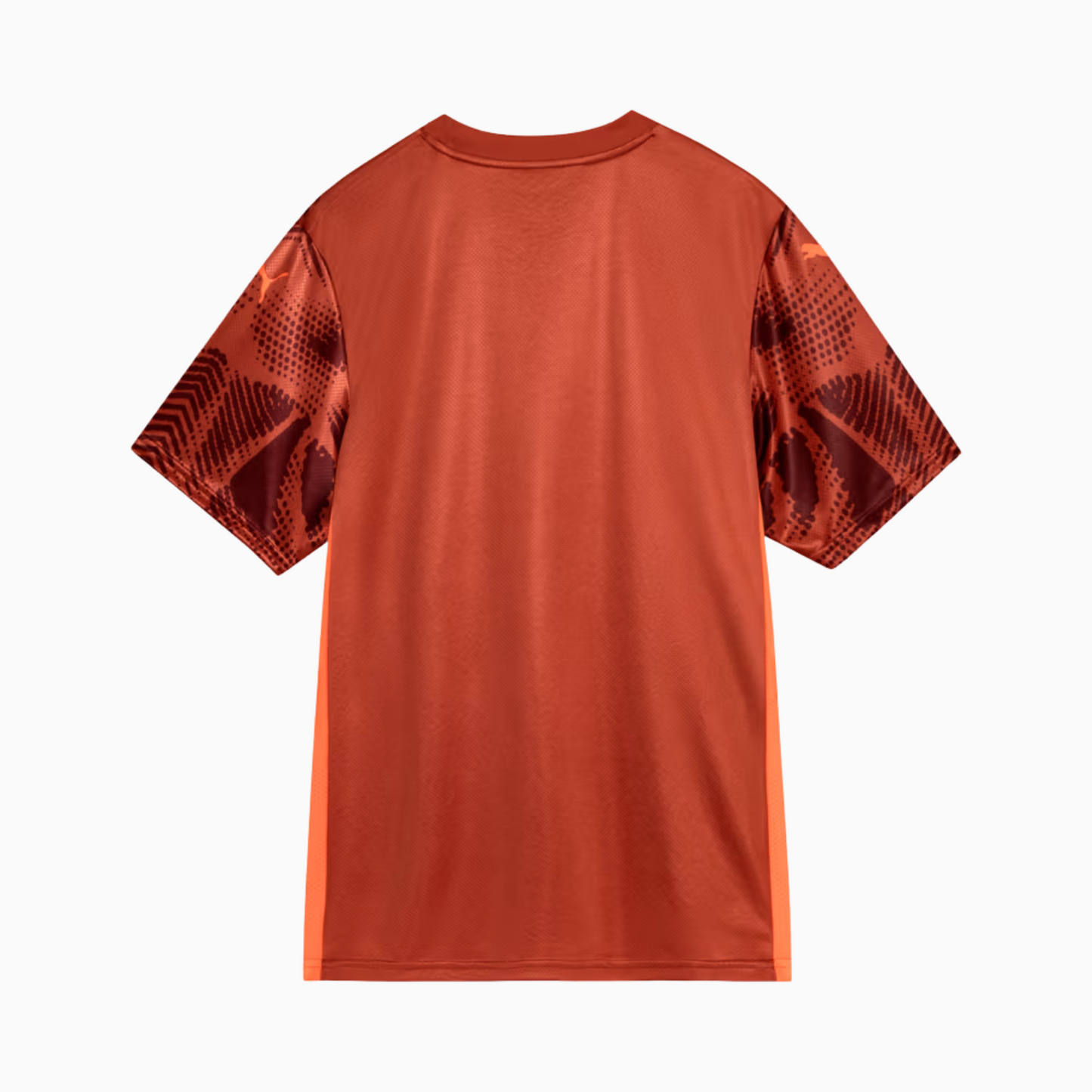 Camisola Goleiro Palmeiras 2025/26 II – Torcedor
