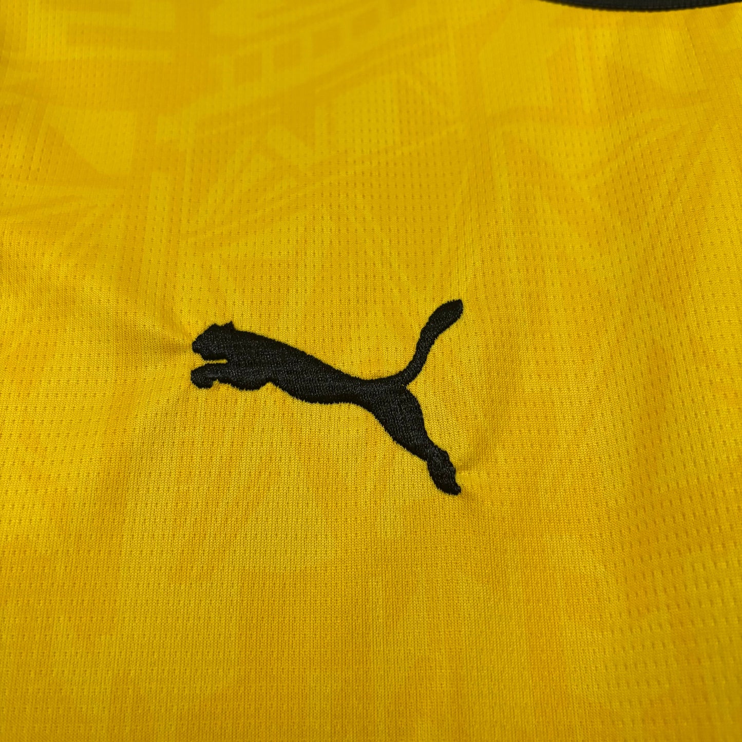 BORUSSIA DORTMUND PRINCIPAL 2026/27