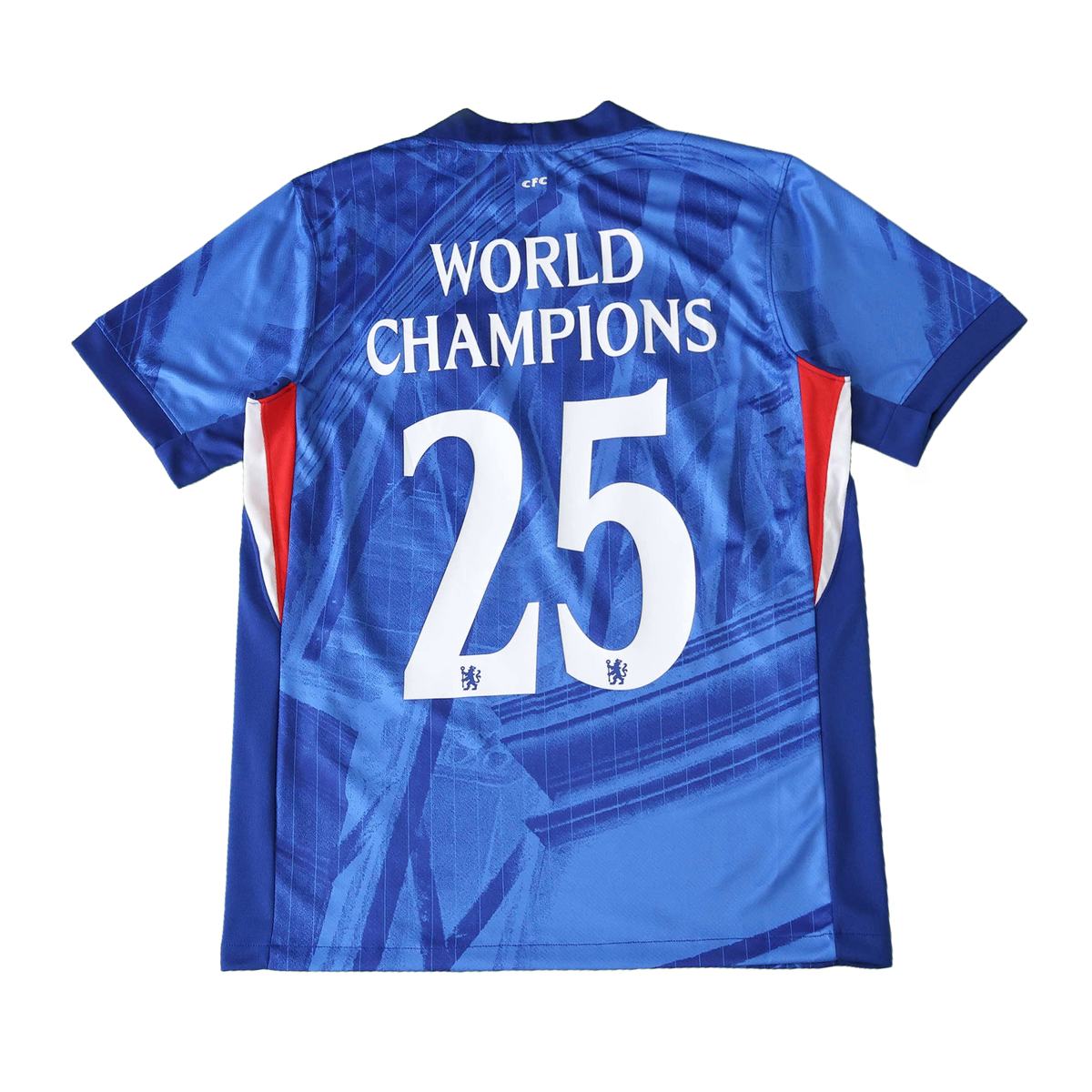 Camisola CLUB NATIONAL TEAMS 25/26 Principal Homem