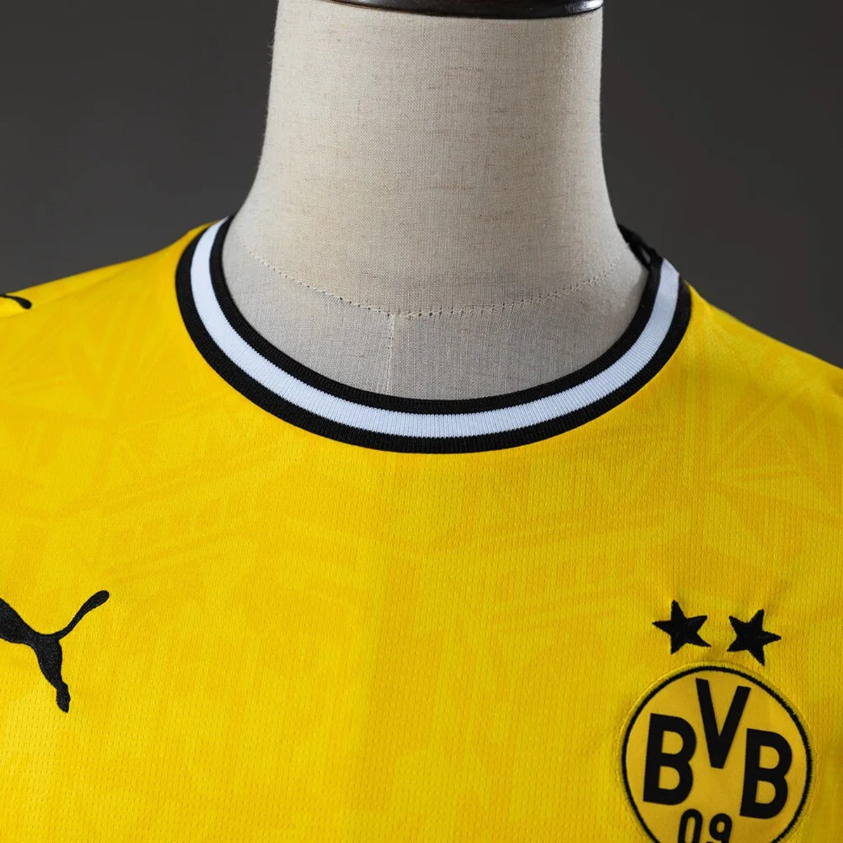 BORUSSIA DORTMUND PRINCIPAL 2026/27 MANGA LONGA