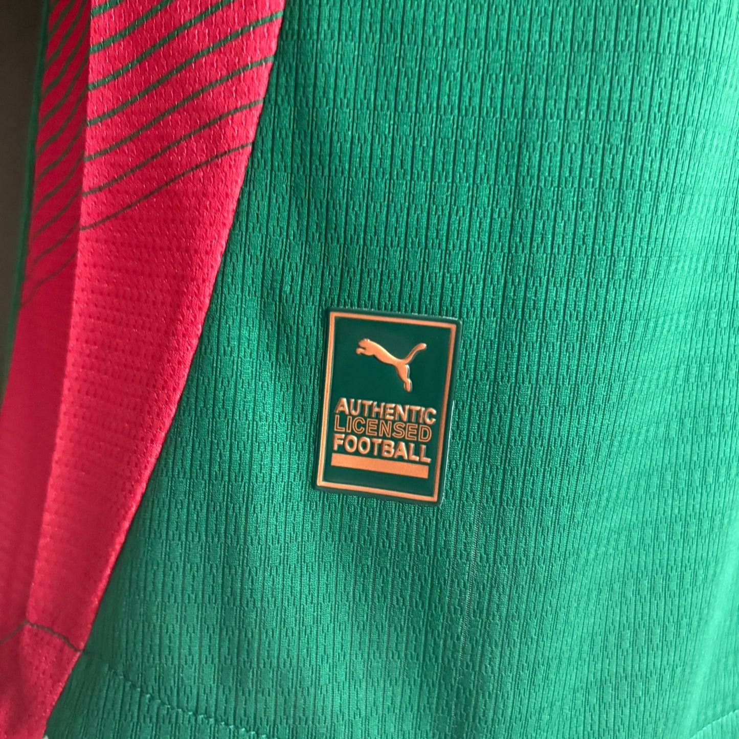 PALMEIRAS PRINCIPAL 2026/27 PLAYER