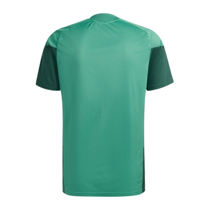 CAMISOLA ARGÉLIA TREINO ALTERNATIVA MUNDIAL 2026