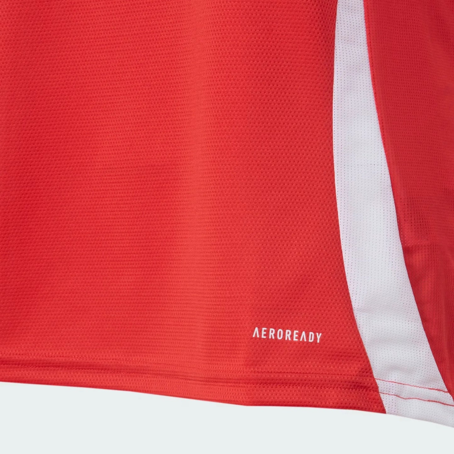Camisola Feminina Internacional 2025/26 I