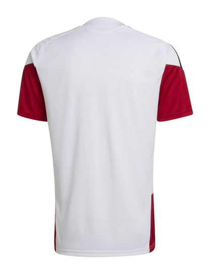 CAMISOLA ALEMANHA TREINO PRINCIPAL MUNDIAL 2026