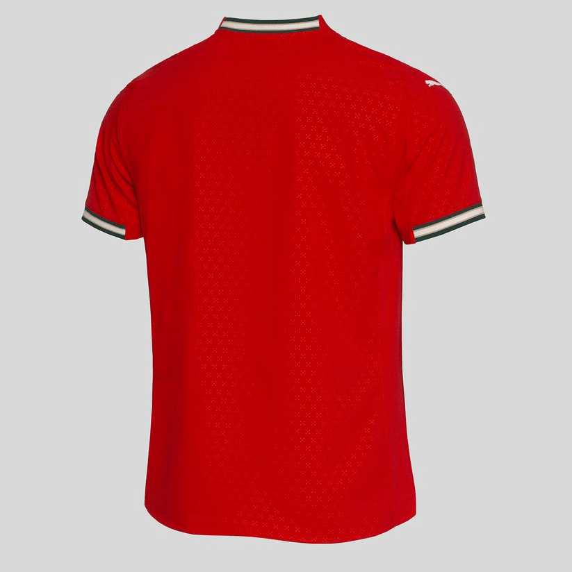 Camisola Portugal Principal Authentic 2025/26 PUMA - LANÇAMENTO! 🔥🇵🇹