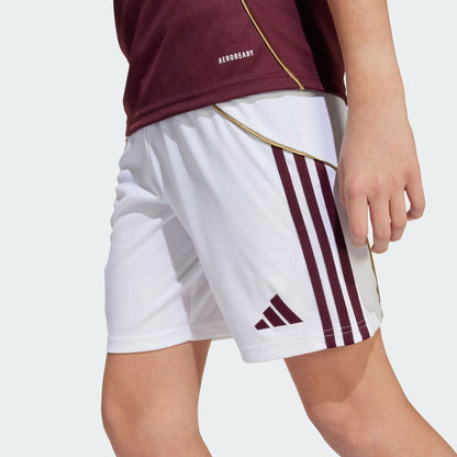 Conjunto Infantil Aston Villa 2025/26 I