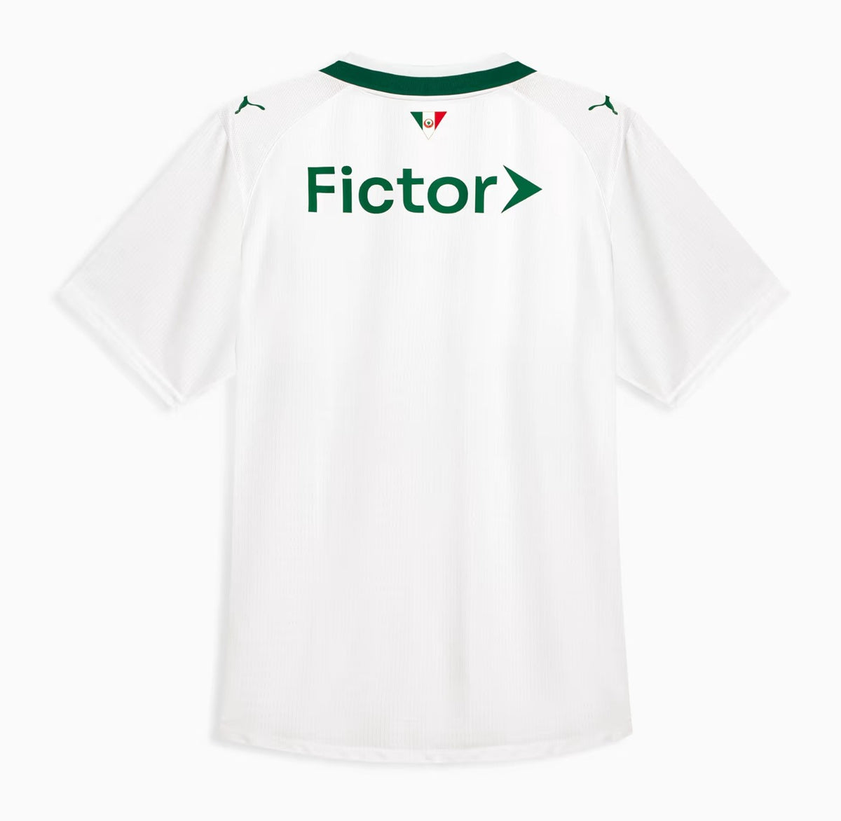 PALMEIRAS ALTERNATIVO 2026/27